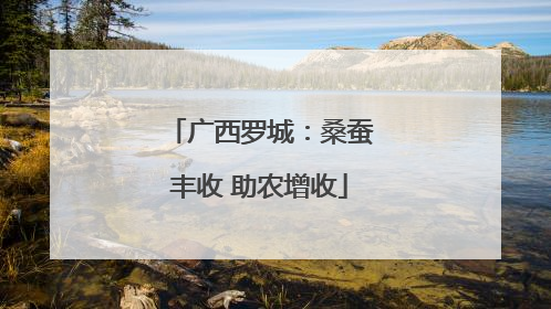 广西罗城：桑蚕丰收 助农增收