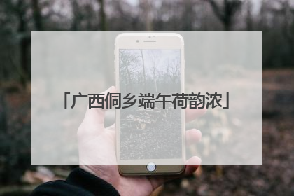 广西侗乡端午荷韵浓