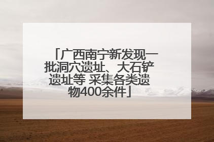 广西南宁新发现一批洞穴遗址、大石铲遗址等 采集各类遗物400余件