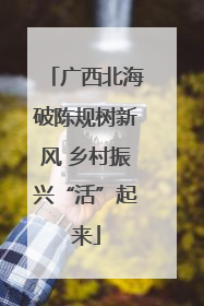 广西北海破陈规树新风 乡村振兴“活”起来