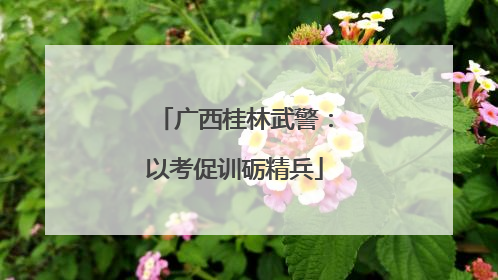 广西桂林武警：以考促训砺精兵