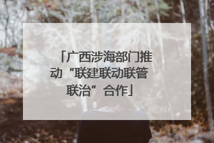 广西涉海部门推动“联建联动联管联治”合作