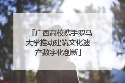 广西高校携手罗马大学推动建筑文化遗产数字化创新