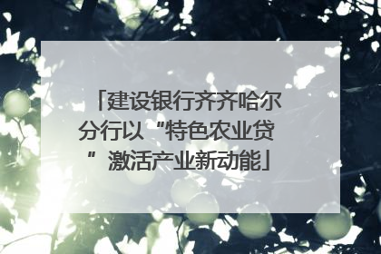 建设银行齐齐哈尔分行以“特色农业贷”激活产业新动能