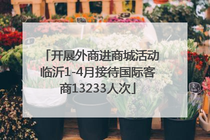 开展外商进商城活动 临沂1-4月接待国际客商13233人次