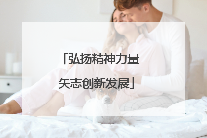 弘扬精神力量 矢志创新发展