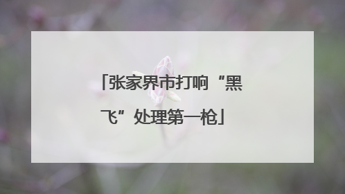 张家界市打响“黑飞”处理第一枪