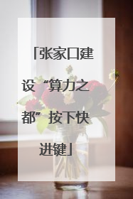 张家口建设“算力之都”按下快进键