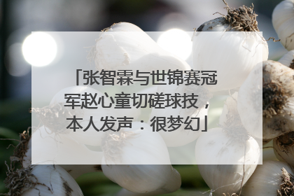 张智霖与世锦赛冠军赵心童切磋球技，本人发声：很梦幻