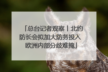 总台记者观察丨北约防长会拟加大防务投入 欧洲内部分歧难掩
