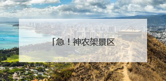 急！神农架景区：日薪500元，急招“野人”！
