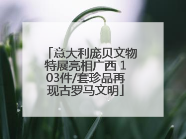 意大利庞贝文物特展亮相广西 103件/套珍品再现古罗马文明