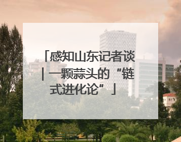 感知山东记者谈｜一颗蒜头的“链式进化论”