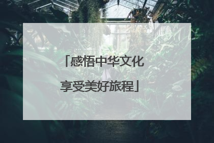 感悟中华文化 享受美好旅程