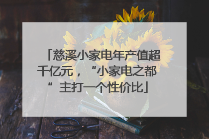 慈溪小家电年产值超千亿元，“小家电之都”主打一个性价比