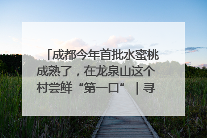 成都今年首批水蜜桃成熟了，在龙泉山这个村尝鲜“第一口”｜寻找和美乡村推荐官