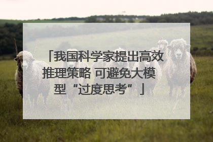 我国科学家提出高效推理策略 可避免大模型“过度思考”