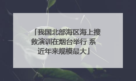 我国北部海区海上搜救演训在烟台举行 系近年来规模最大