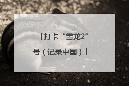 打卡“雪龙2”号（记录中国）