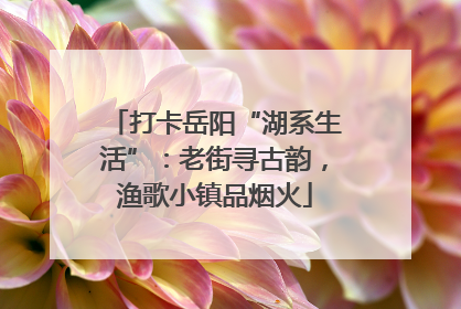 打卡岳阳“湖系生活”：老街寻古韵，渔歌小镇品烟火
