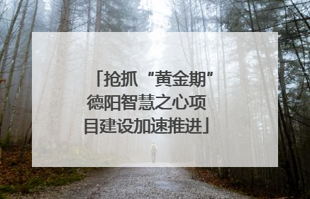 抢抓“黄金期” 德阳智慧之心项目建设加速推进