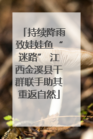 持续降雨致娃娃鱼“迷路” 江西金溪县干群联手助其重返自然