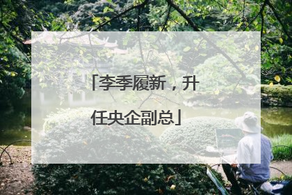 李季履新，升任央企副总