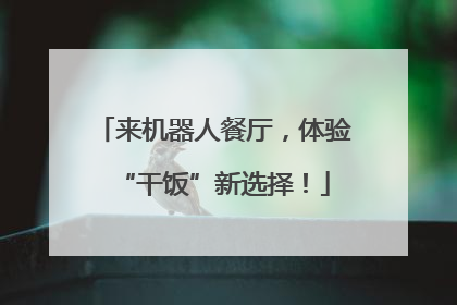 来机器人餐厅，体验“干饭”新选择！