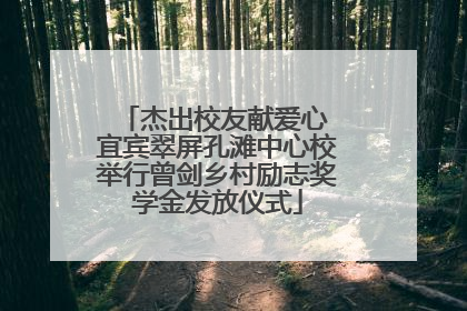 杰出校友献爱心 宜宾翠屏孔滩中心校举行曾剑乡村励志奖学金发放仪式