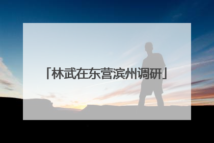 林武在东营滨州调研