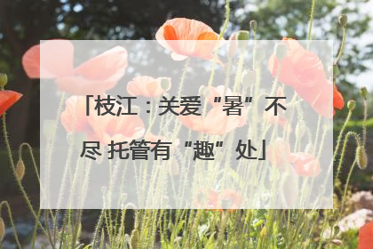 枝江：关爱“暑”不尽 托管有“趣”处