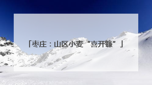 枣庄：山区小麦“喜开镰”
