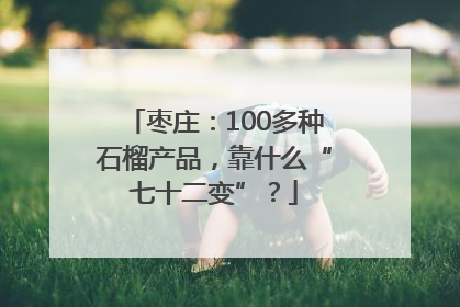 枣庄：100多种石榴产品，靠什么“七十二变”？