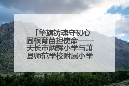 擎旗铸魂守初心 固根育苗担使命——天长市炳辉小学与萧县师范学校附属小学结对共建活动纪实