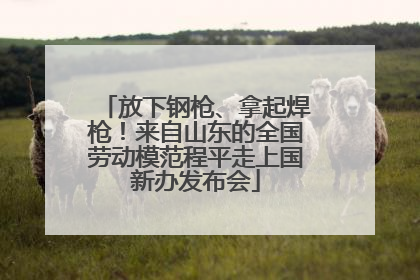 放下钢枪、拿起焊枪！来自山东的全国劳动模范程平走上国新办发布会