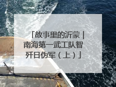 故事里的沂蒙｜南海第一武工队智歼日伪军（上）