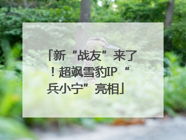 新“战友”来了！超飒雪豹IP“兵小宁”亮相