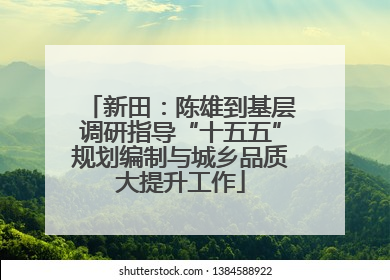 新田：陈雄到基层调研指导“十五五”规划编制与城乡品质大提升工作
