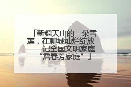新疆天山的一朵雪莲，在聊城灿烂绽放——记全国文明家庭“詹春芳家庭”