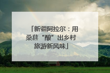 新疆阿拉尔：用桑葚“酿”出乡村旅游新风味