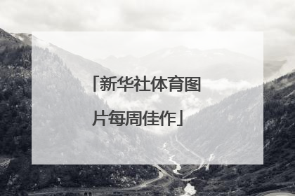 新华社体育图片每周佳作