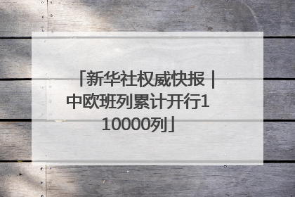 新华社权威快报｜中欧班列累计开行110000列