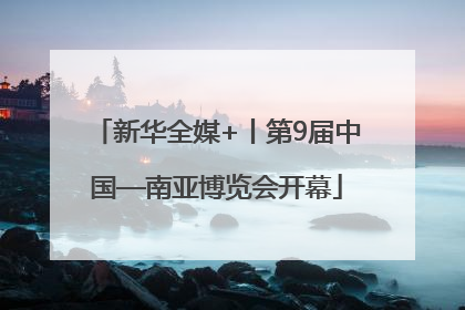 新华全媒+丨第9届中国—南亚博览会开幕