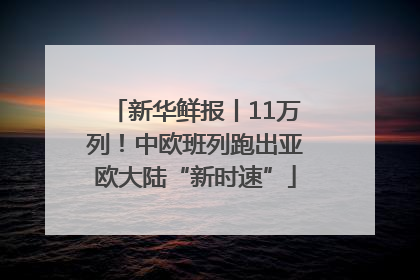 新华鲜报丨11万列！中欧班列跑出亚欧大陆“新时速”