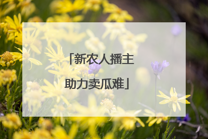 新农人播主 助力卖瓜难
