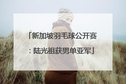 新加坡羽毛球公开赛：陆光祖获男单亚军
