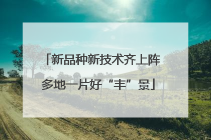新品种新技术齐上阵 多地一片好“丰”景