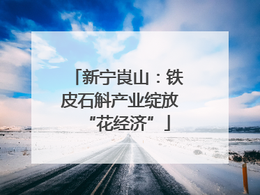 新宁崀山：铁皮石斛产业绽放“花经济”