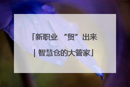 新职业 “贸”出来｜智慧仓的大管家