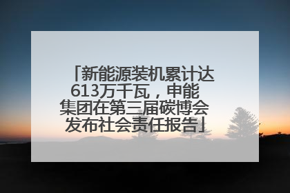 新能源装机累计达613万千瓦，申能集团在第三届碳博会发布社会责任报告